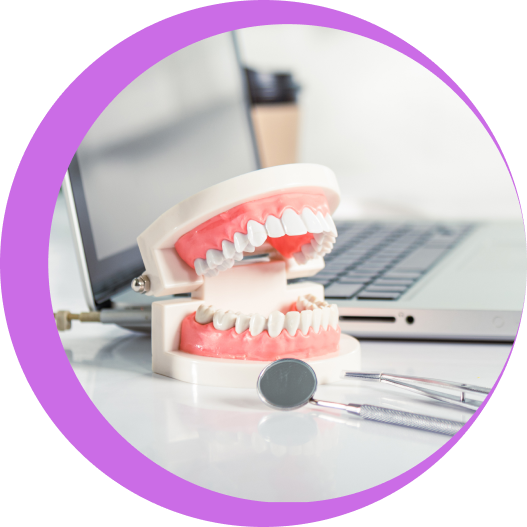 Group 30 Dental model with laptop and tools.